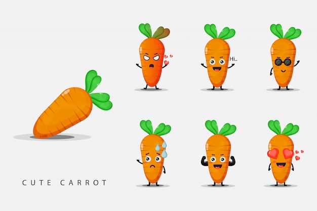 Leuke mascotte wortel set