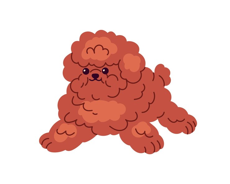 Vector leuke miniatuurpuppy van het ras toy poodle hond die in een grappige houding staat leuke kleine pluizige harige hondje in een speelse houding puppy hondendier platte vectorillustratie geïsoleerd op witte achtergrond