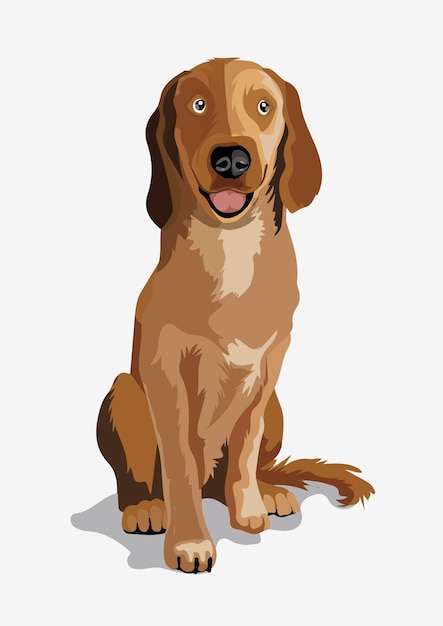 Leuke mooie bruine hond Ridgeback of kleine buldog Een mooie witte hond zittend op een grond Isoleren Vectorillustratie