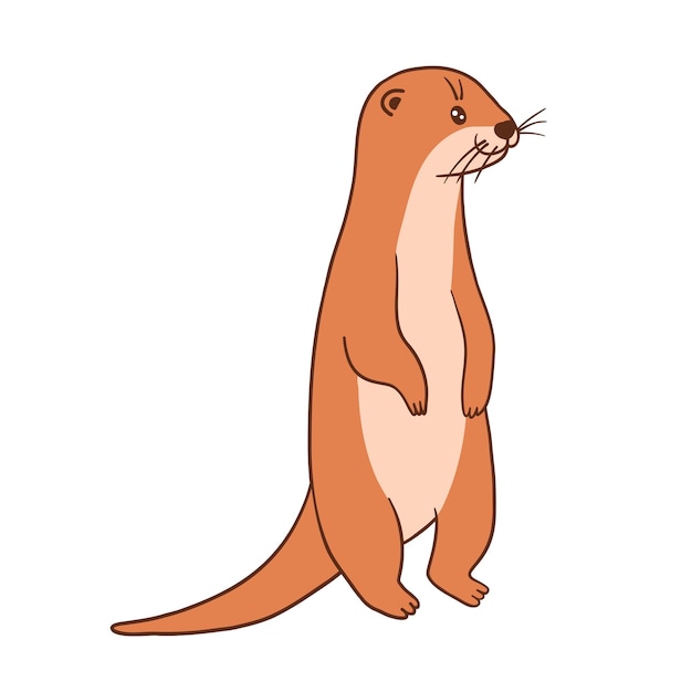 Leuke otter platte cartoon vectorillustratie geïsoleerd op witte achtergrond Otters permanent