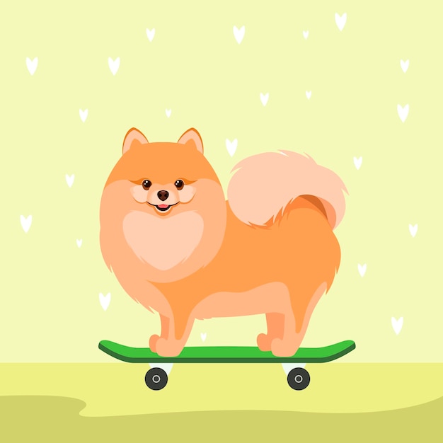 Leuke pomeranian op een skateboard cartoon stijl