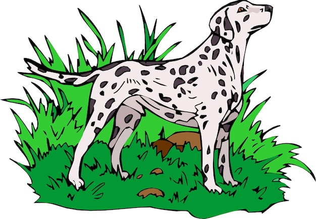 Vector leuke rasechte dalmatische hond cartoon handgetekende gezelschapsdieren komische vectorillustratie