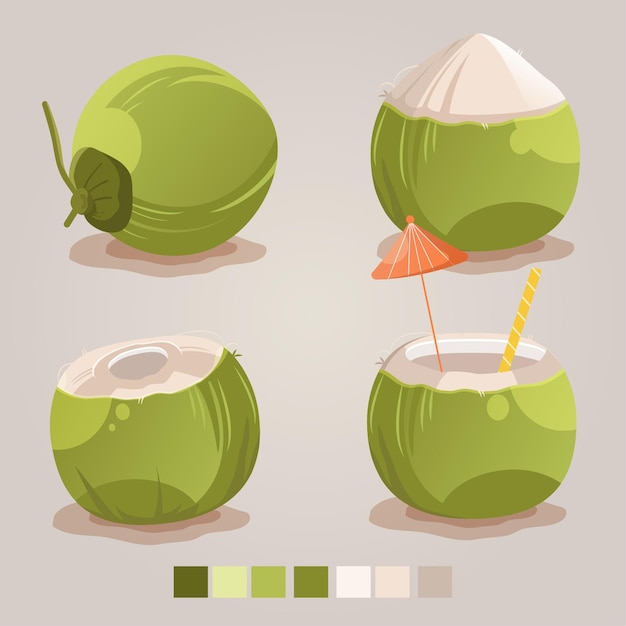 Leuke realistische coconat vector illustratie