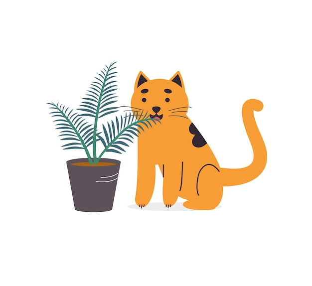 Leuke rode kat die kamerplant eet. Huisdier knabbelen aan groene plant.