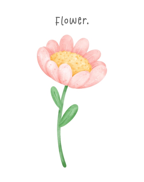 Leuke roze bloem met stengel waterverf met de hand teken illustratie vector
