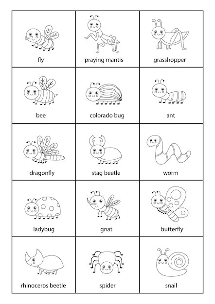 Leuke set insecten met namen in het Engels.