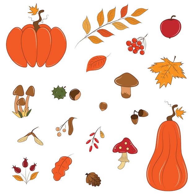 Leuke set van herfst clipart planten en bladeren