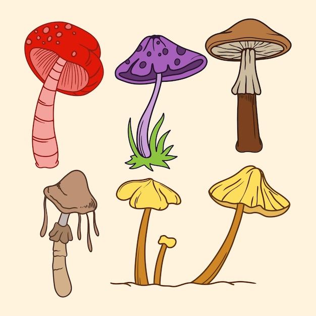 Leuke tekenset voor paddestoelen