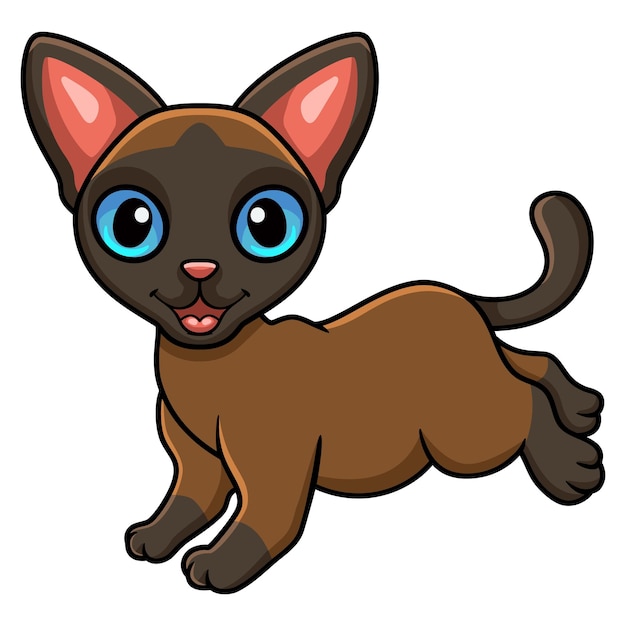 Leuke tonkinese kat cartoon wandelen