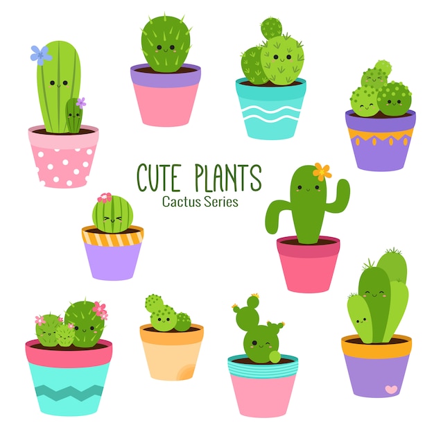 Leuke tropische cactusplanten