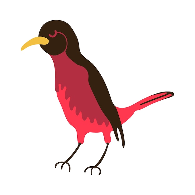 Vector leuke vogel kleurrijke illustratie