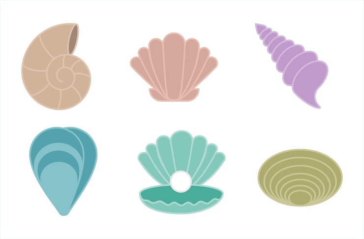 Vector leuke zeeschelpster schelp zeeschelp set met de hand getekende vectorillustratie geïsoleerd op wit