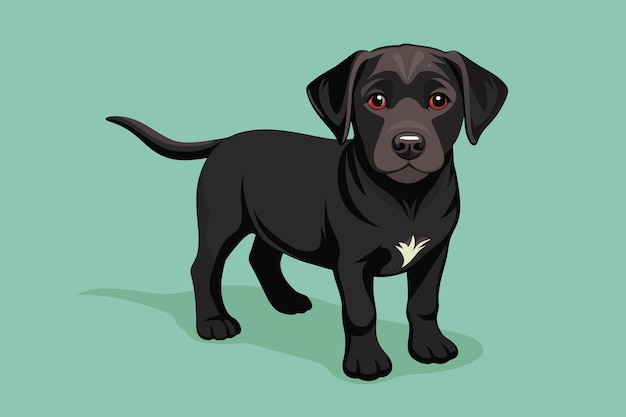Leuke zwarte Labrador Puppy Zwarte kleur