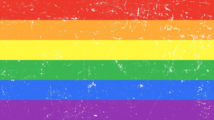 Vector lgbt rainbow pride flag grunge style colorful banner