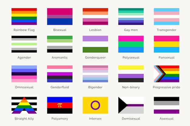 Vector lgbtq pride flags and their meaning sexual identity symbols gay pride month