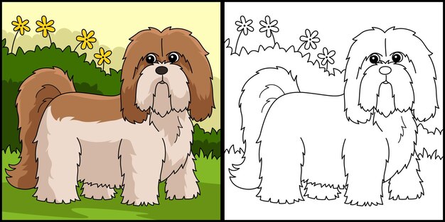 Illustrazione colorata della pagina di colorazione del cane di lhasa apso