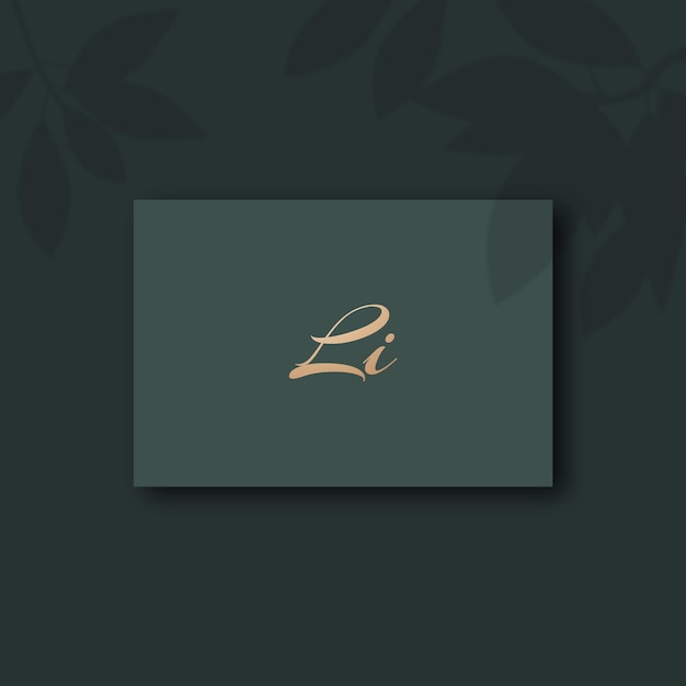 Li logo design vector image