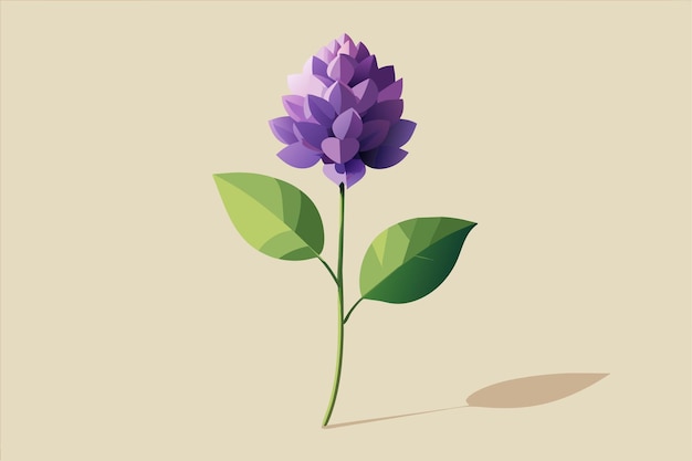 Liac Flower Vector Illustration