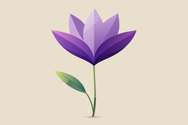Liac Flower Vector Illustration