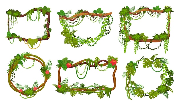 Liana frames Regenwoud struikgewas frame voor spel ui cartoon jungle klimplant op takken kruipende touw wijnstokken plant tropische vegetatie gebladerte set ingenieuze vectorillustratie van liaan jungle frame