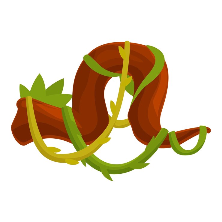 Vector liana growing and entangling on tree branch in jungle