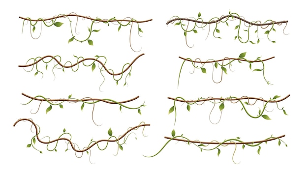 리아나 또는 정글 식물 또는 덩굴 야생 녹지 와인딩 가지 벡터 줄기와 잎