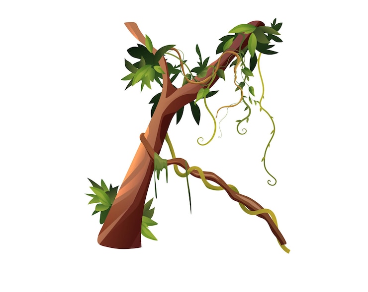 Vector liana or vine winding branches cartoon. jungle tropical climbing plants.