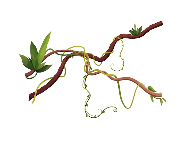 Vector liana or vine winding branches cartoon