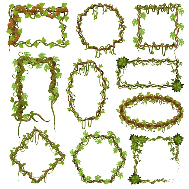 Vector liana vines frames. tropical climbing rainforest plants with leaves, jungle liana plants borders set