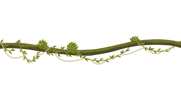 Lianas stem border Rainforest green vine or twisted plant hanging on branch Cartoon jungle creeper leaves or moss on tree Vector isolated game scenery element Tropical nature plant