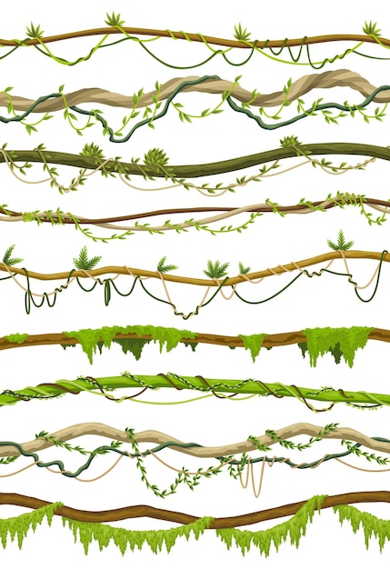 ベクトル つる植物, 茎, ボーダー, セット, 熱帯雨林, 緑, ツル, ∥あるいは∥, ねじれた, 植物, 掛かること, 上に, 枝