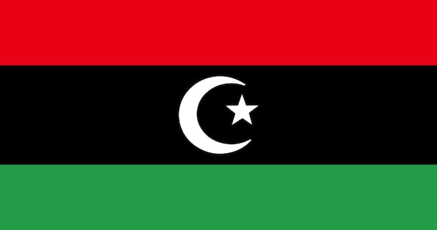 Libya flag in vector