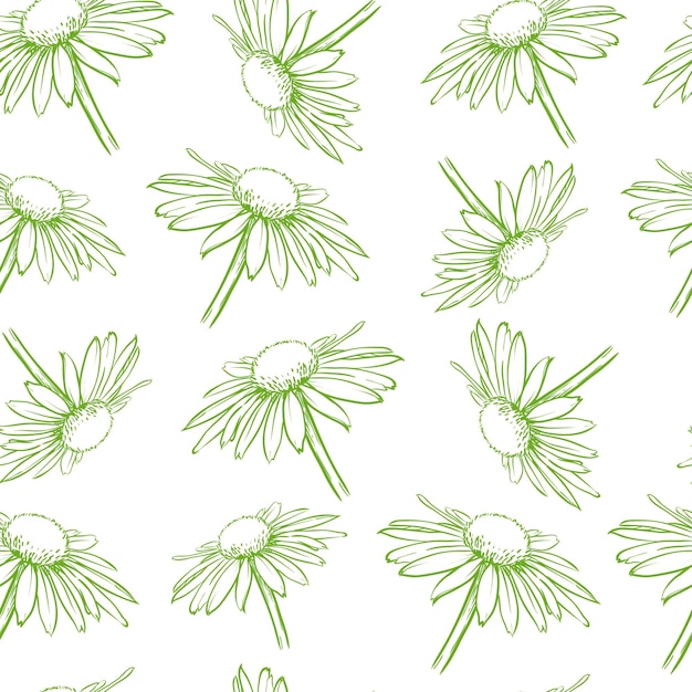 Licht groen bloemen naadloos patroon Witte madeliefjes Hand getrokken vectorillustratie