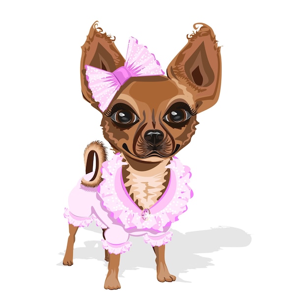 lieve kleine hond in roze kleren