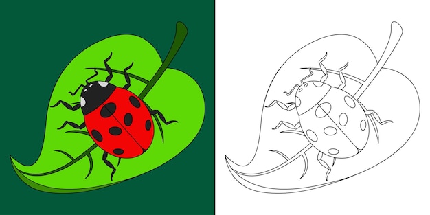 Lieveheersbeestje op een blad geschikt voor kinder kleurplaten pagina vectorillustratie