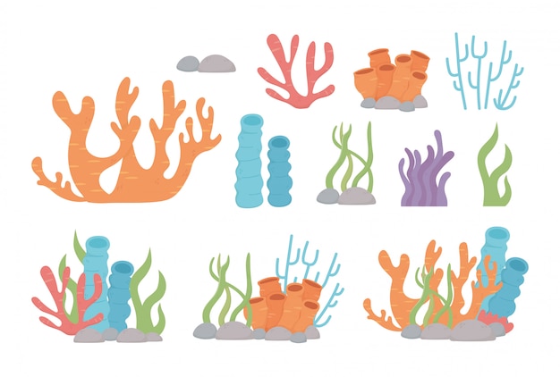 Life coral reef algae stones cartoon under the sea