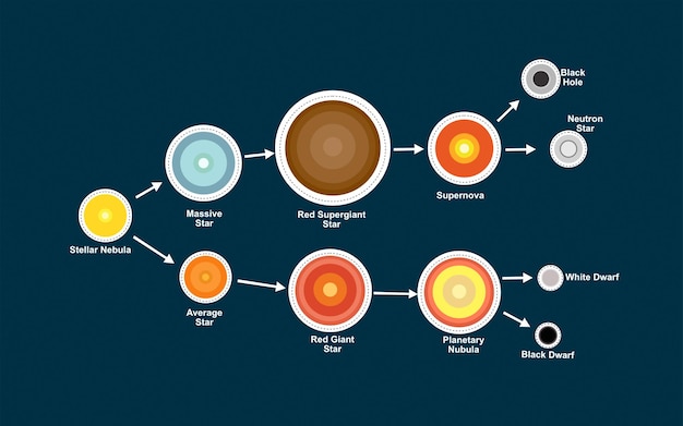 Life cycle of a star