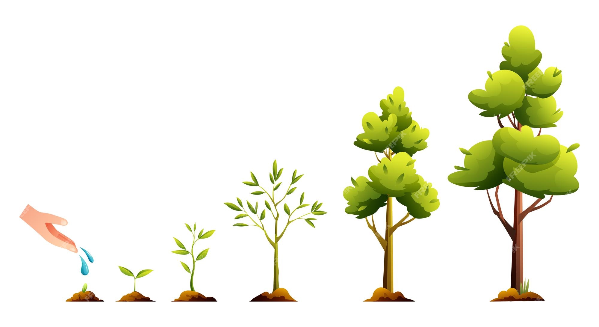 Growth stage Vectors, Clipart & Illustrations for Free Download