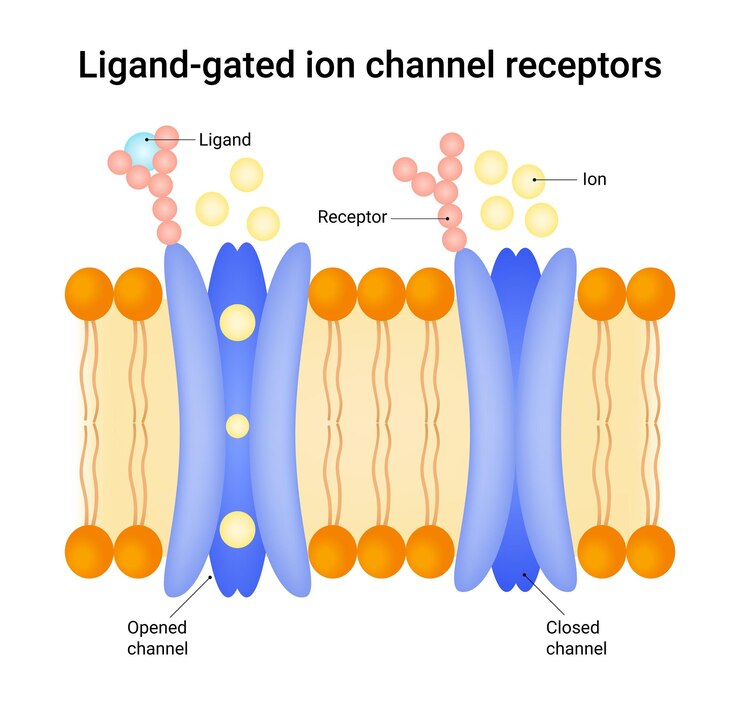 Vector ligand gated ion channel receptors