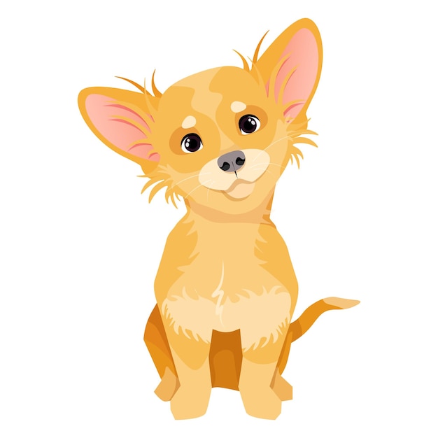 Vector light brown fluffy chihuahua sitting