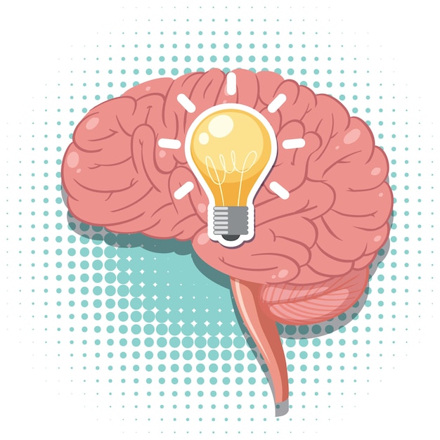light bulb on human brain