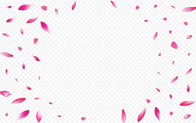 Light confetti vector transparent background. petal mother banner. rosa fly poster. apple beauty design. color peach blow template.