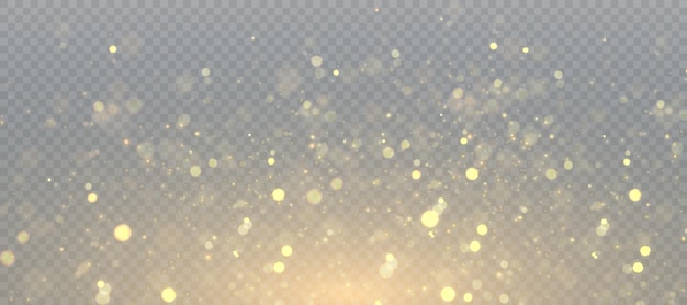 Light effect with lots of glittery glare particles shining on a transparent background