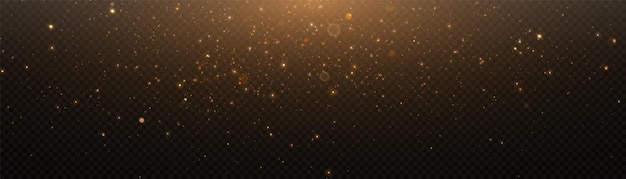 Vector light effect with many particles isolated on a transparent background of a star cloud with dust