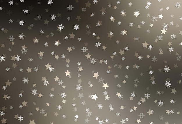 Light gray vector background with beautiful snowflakes stars