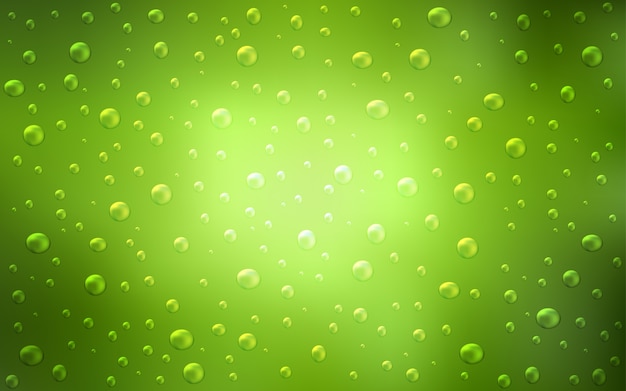 Vector light green vector background with bubbles