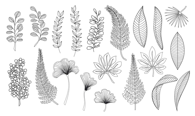 Lijn kunst tropische bladeren. overzicht bospalm ginkgo biloba, monstera, cheflera, zamioculcas, varen hawaiiaanse bladeren. hand getekende plant elementen vector illustratie.