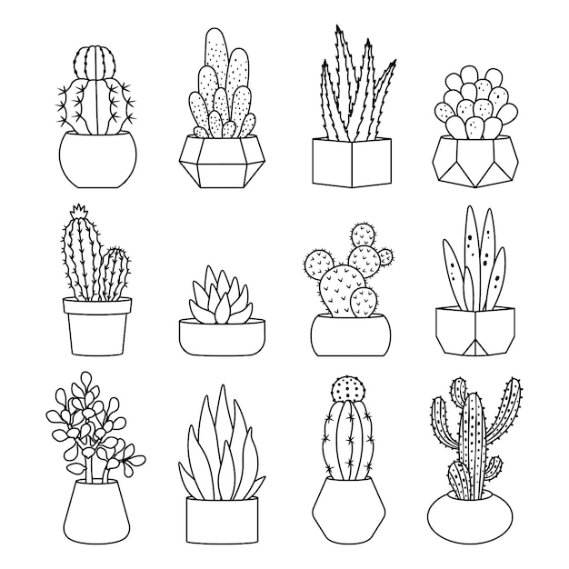 Lijn stijl cactus en vetplanten icon set