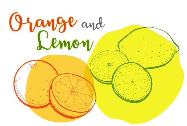 Lijnen tekenen van sinaasappels en citroenen met levendige kleuren
