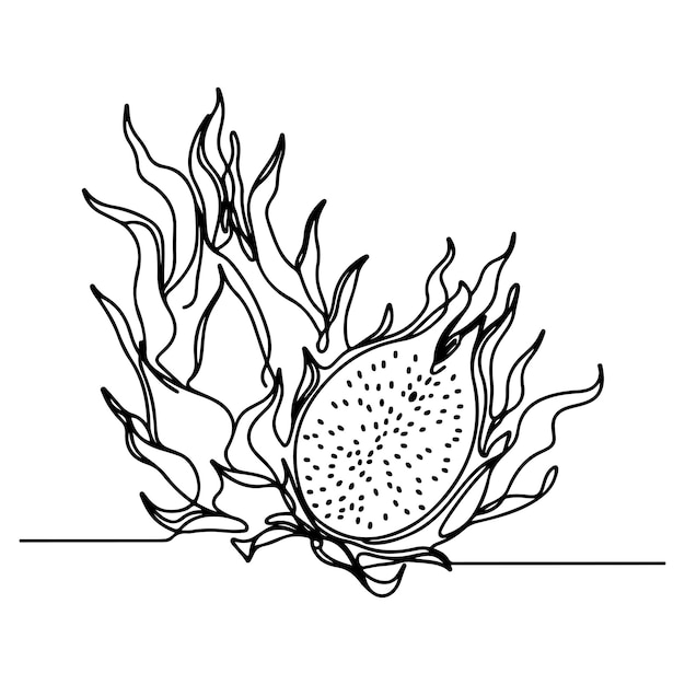 lijnkunst illustratie van dragonfruit